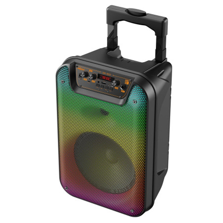 TWS Wireless Speaker, BT 5.3, 20W + 15W, Wireless Microphone. GO-RO...